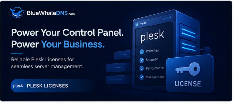 Plesk control panel with server license